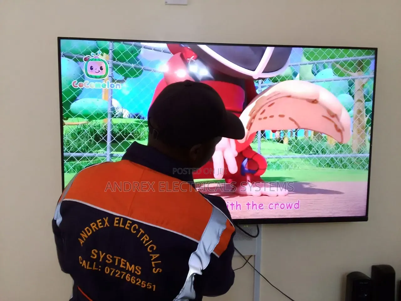 Flat Screen Wall Mounting Services
