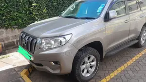 Toyota Land Cruiser Prado 2009 Silver