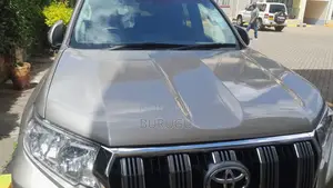 Toyota Land Cruiser Prado 2009 Silver