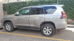 Toyota Land Cruiser Prado 2009 Silver