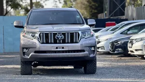 Toyota Land Cruiser Prado 2.8 2019 Silver