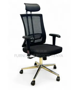 Orthopedic Executive Office Chair