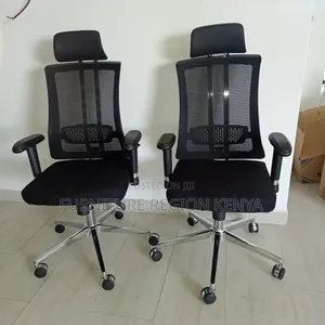 Orthopedic Executive Office Chair