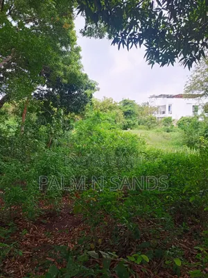 One Acre With Mango Trees on Sale in Diani