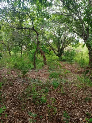 One Acre With Mango Trees on Sale in Diani
