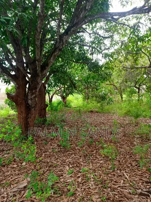 One Acre With Mango Trees on Sale in Diani