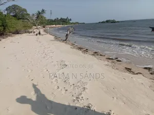 1.25 Acre Sandy Beachfront Land on Sale!!