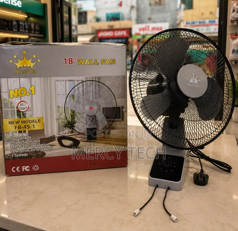 Starworth 18" Wall Fan With Remote