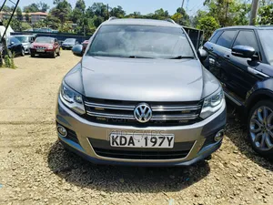 Volkswagen Tiguan S 2013 Gray