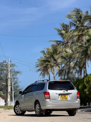 Toyota Corolla Fielder 2013 Silver