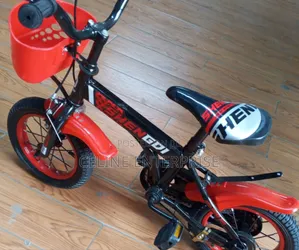 Shengdi 12-Inch Bicycle for Boys and Girls