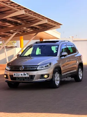Volkswagen Tiguan 2013 Gold
