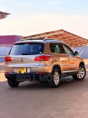 Volkswagen Tiguan 2013 Gold