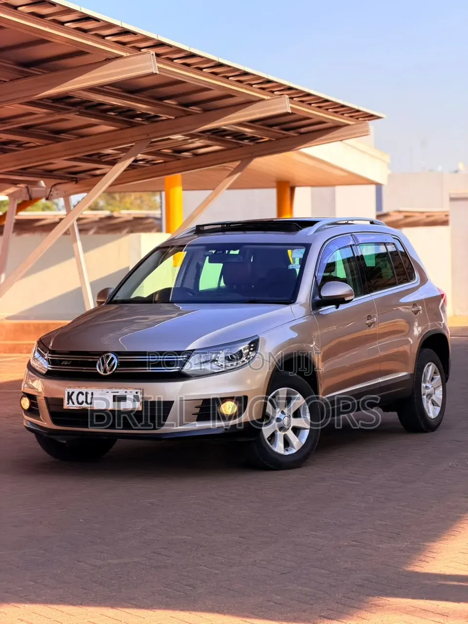 Volkswagen Tiguan 2013 Gold