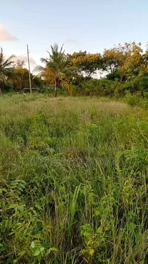 Nice 1/8 Acre Plot at Makongeni, Kinondo at 250 Metres From Tarmac Road