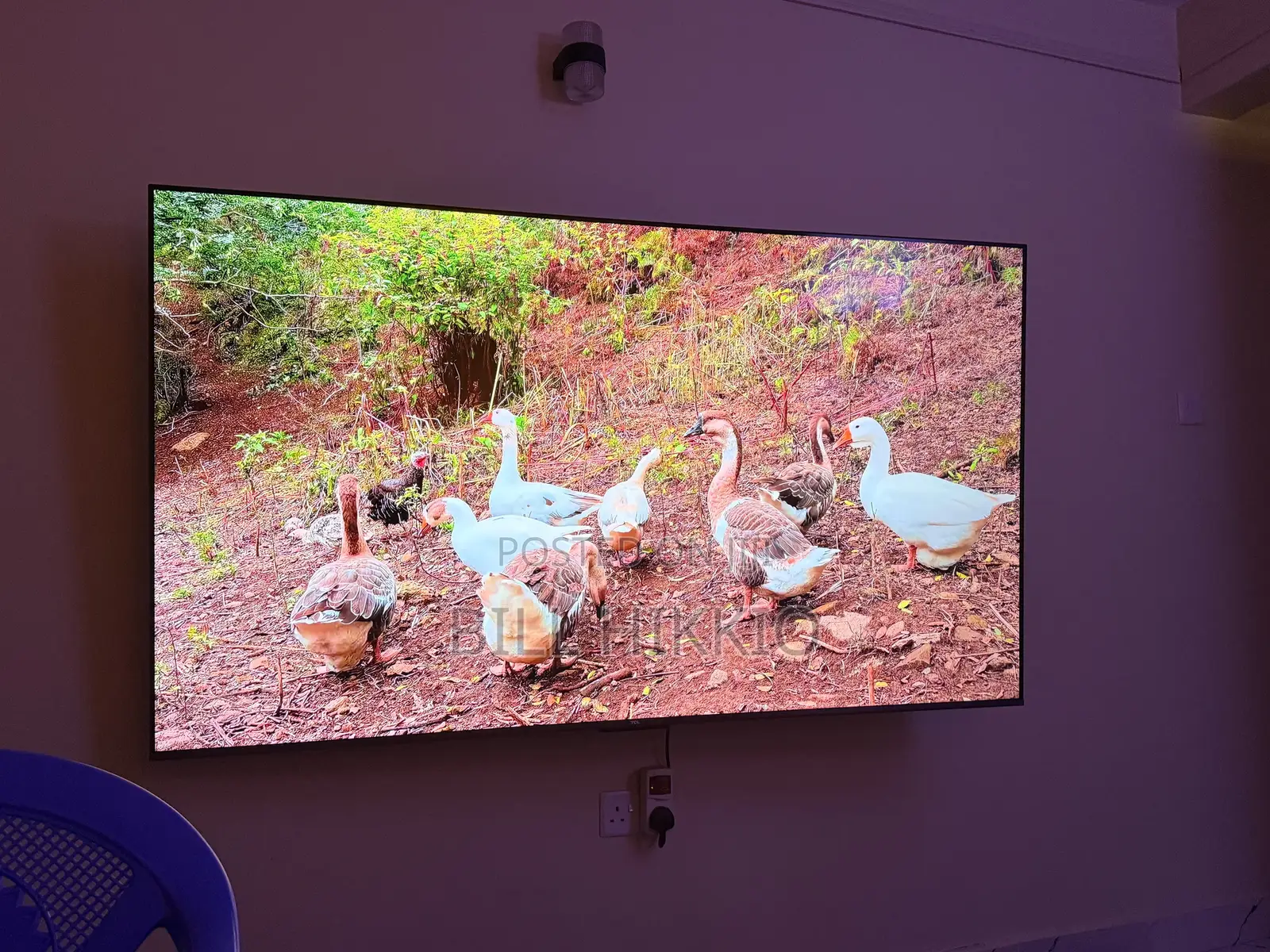 75" TCL P735 Google TV