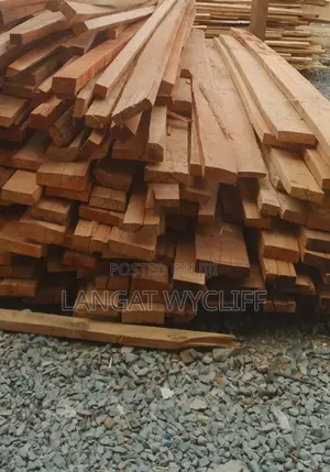 Luxury in Wood Land