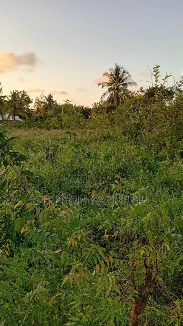 Stand-Alone 1/8 Acre Plot at Makongeni, 300 Metres From the Main Road.