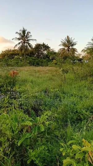 Stand-Alone 1/8 Acre Plot at Makongeni, 300 Metres From the Main Road.