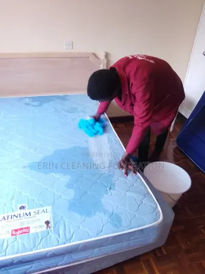 Fabric Sofa Cleaners, Couch, Mattress/Fumigation