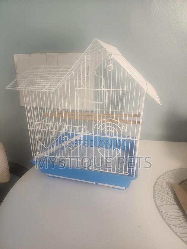 White Blue Cage