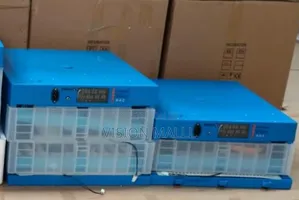 64 Eggs Capacity AC/DC Full Auto Incubator