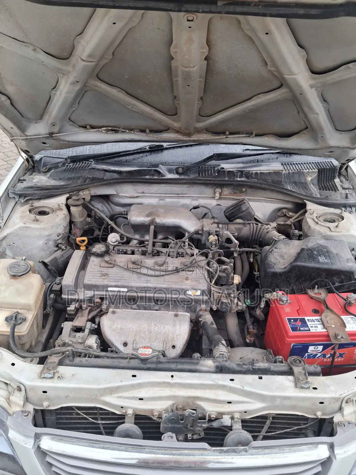 Toyota Premio 2001 White