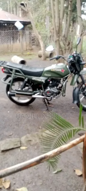 Captain CP175 2022 Green