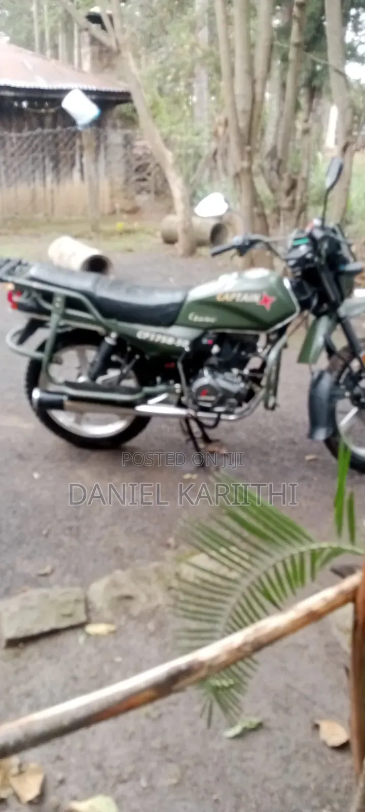Captain CP175 2022 Green
