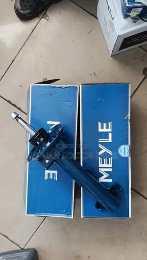 W204 Front New Shocks (Meyle)