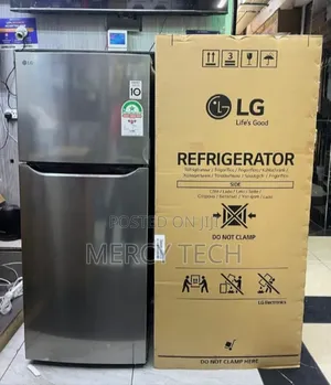 LG No Frost Refrigerator 234L Double Door (Silver)