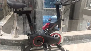 Big Size and More Advanced Static Bike/ Spine Bike-for Cardio Exercise
