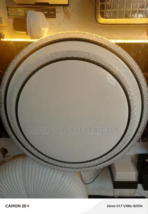 Decorative Ceiling Lights