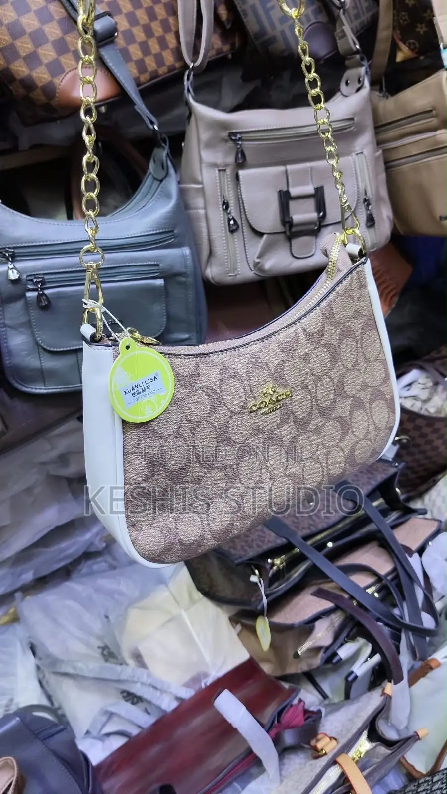 Coch Bag in Different Colors