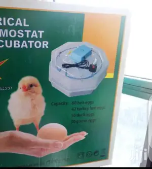 Brand New 60 Egg Incubator Machines