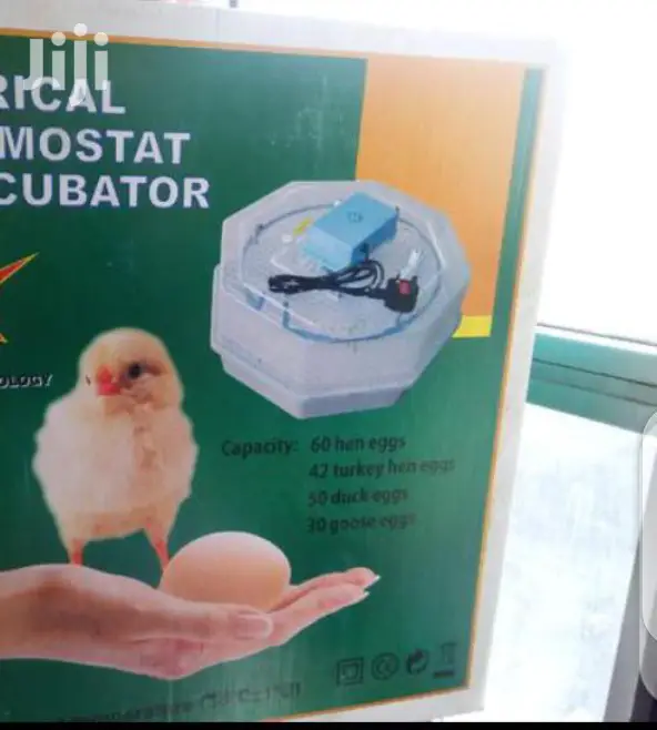 Brand New 60 Egg Incubator Machines