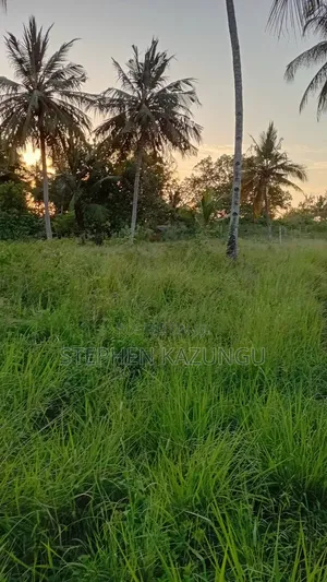 Nice an 1/8 Acre Plot at Makongeni, Kinondo 250 Metres From the Road.