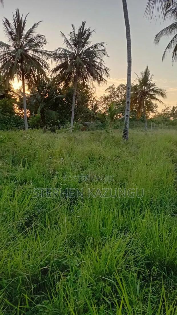 Nice an 1/8 Acre Plot at Makongeni, Kinondo 250 Metres From the Road.