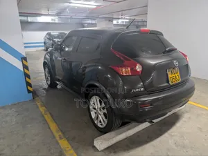 Nissan Juke 2011 Gray
