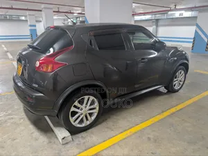 Nissan Juke 2011 Gray