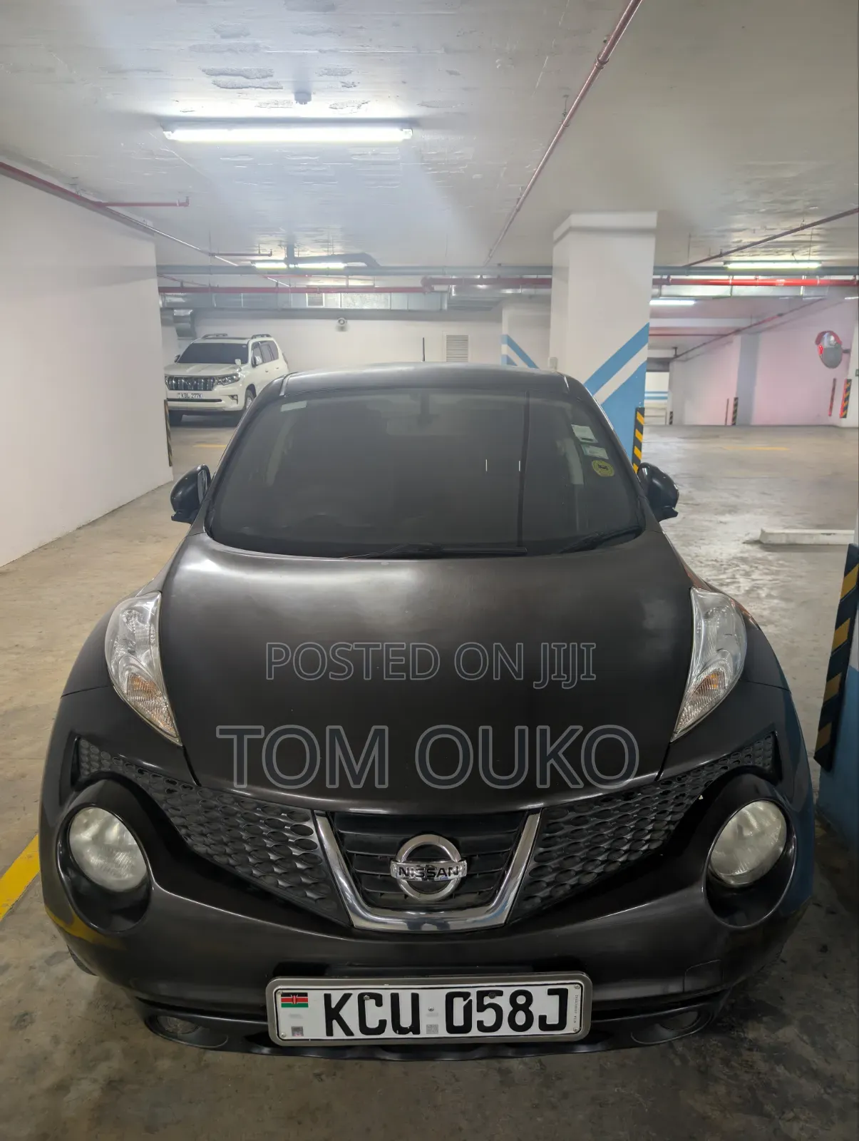 Nissan Juke 2011 Gray