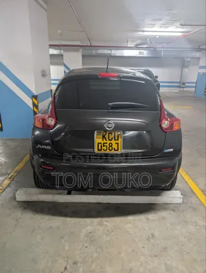 Nissan Juke 2011 Gray