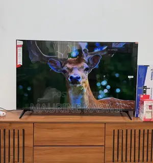 Vitron Whale TV 50”