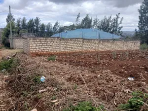 Prime Eighth Acre Plot Off PCEA Tarmac in Upper Matasia