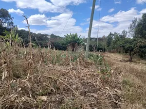 Distress Sale! 100 by 100 Plot Near Lewisa Academy Kiserian