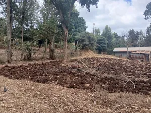 Full 50 by 100 Plot in Upper Matasia Off PCEA Road