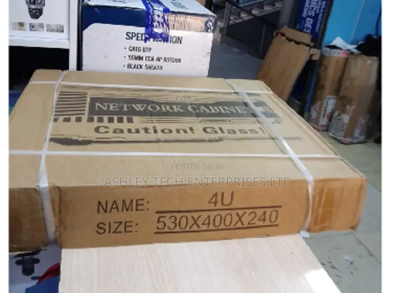 Special 4U Data Cabinet for Networking Equipment