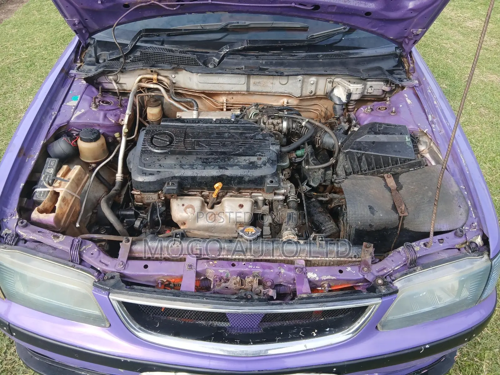 Nissan Sunny 2000 Gray