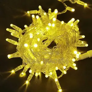 Christmas Lights 10metres Caro