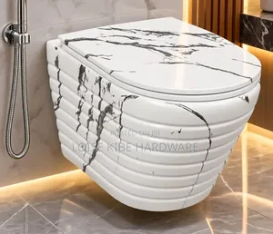 Black and White Wall Hung Toilet Available